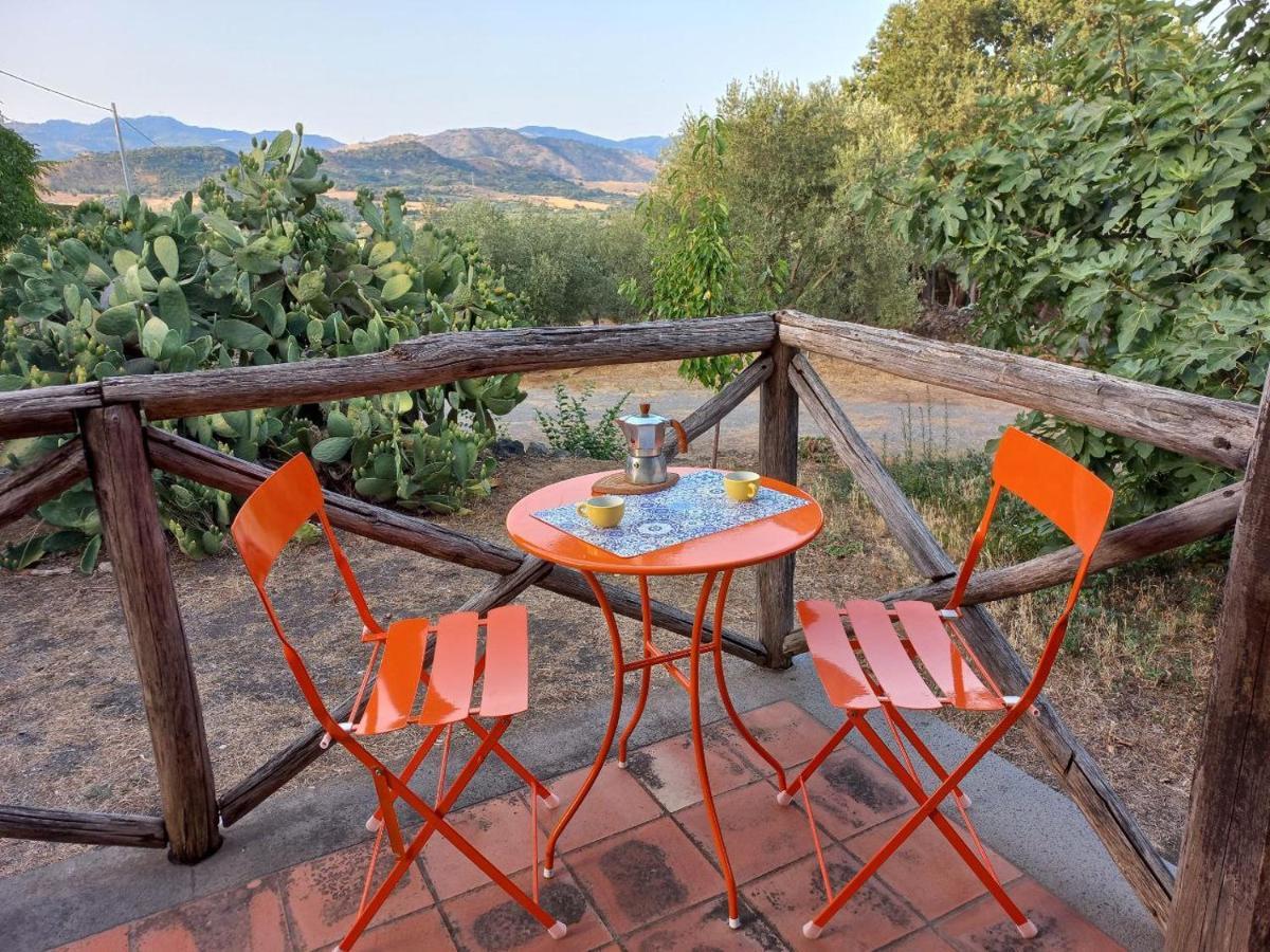 La Casa Di Bacco - Etna - Affitto Breve Castiglione De Sicilia