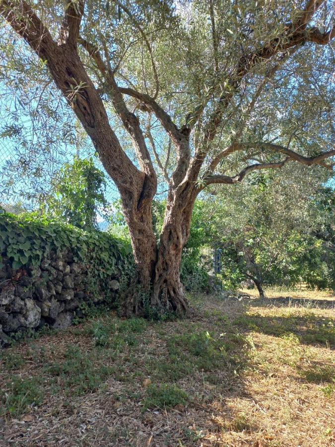 Holiday home La Casa Di Bacco - Etna - Affitto Breve *