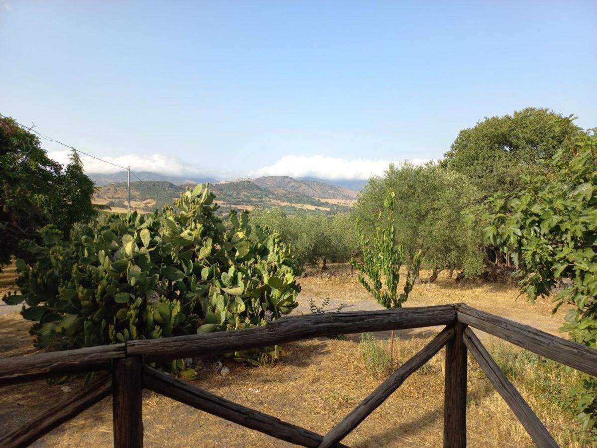 La Casa Di Bacco - Etna - Affitto Breve