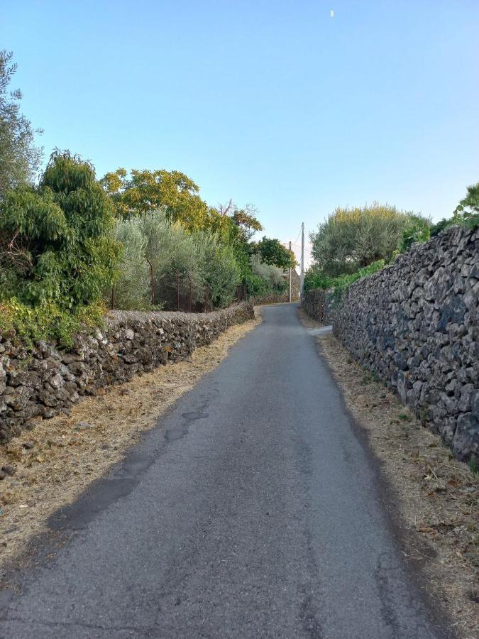 La Casa Di Bacco - Etna - Affitto Breve