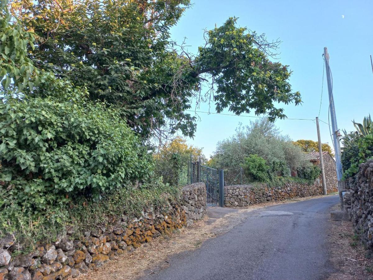 La Casa Di Bacco - Etna - Affitto Breve