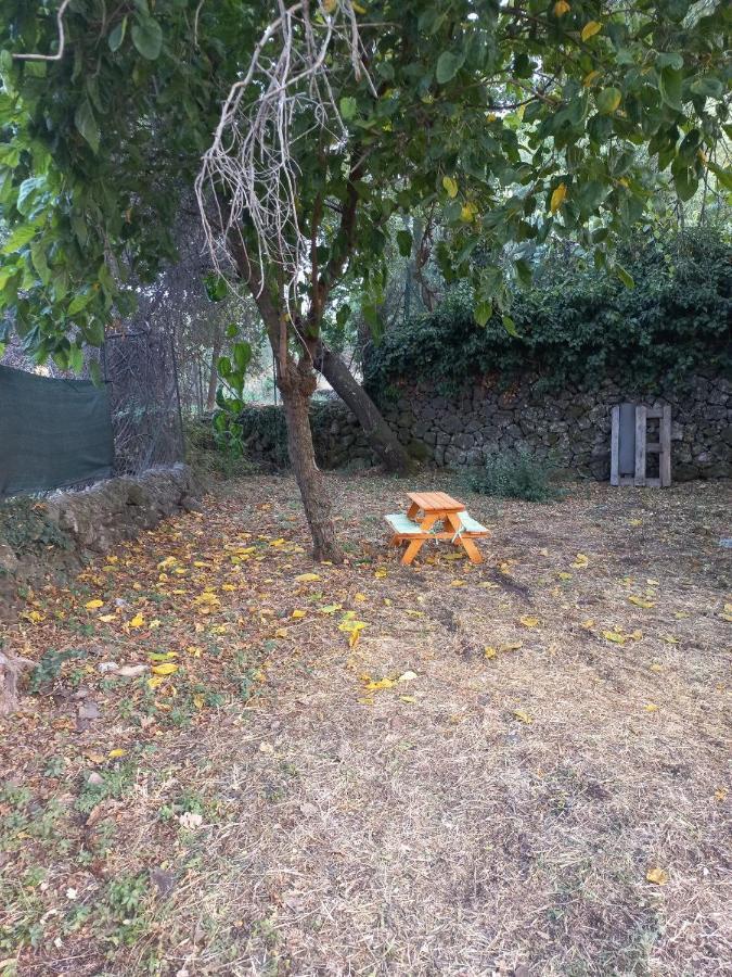 La Casa Di Bacco - Etna - Affitto Breve *