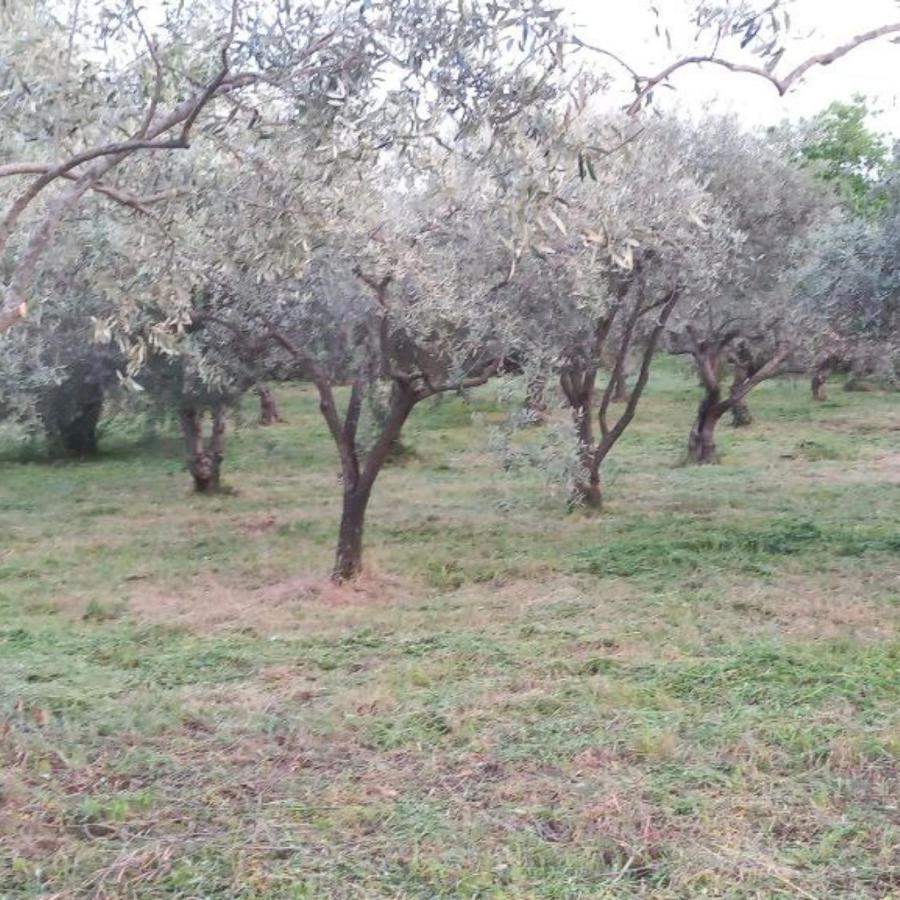 La Casa Di Bacco - Etna - Affitto Breve *