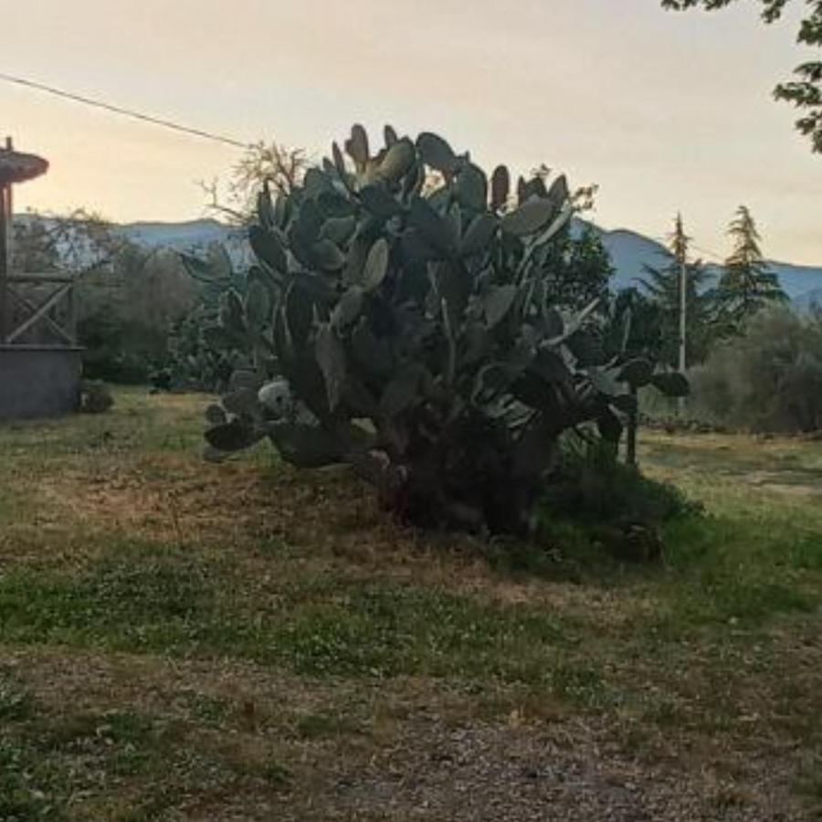 La Casa Di Bacco - Etna - Affitto Breve Holiday home Castiglione De Sicilia