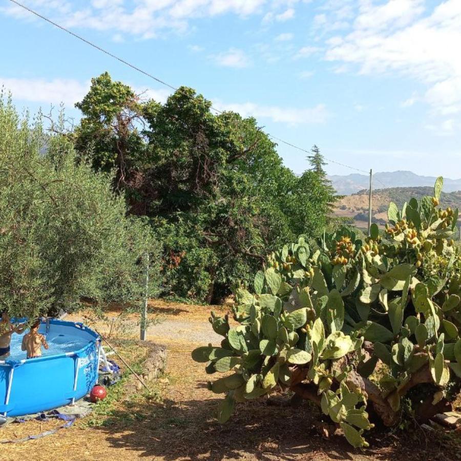 Holiday home La Casa Di Bacco - Etna - Affitto Breve