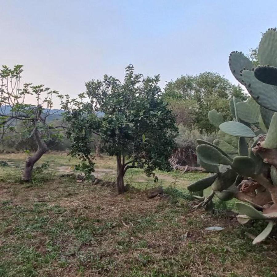 La Casa Di Bacco - Etna - Affitto Breve * Castiglione De Sicilia