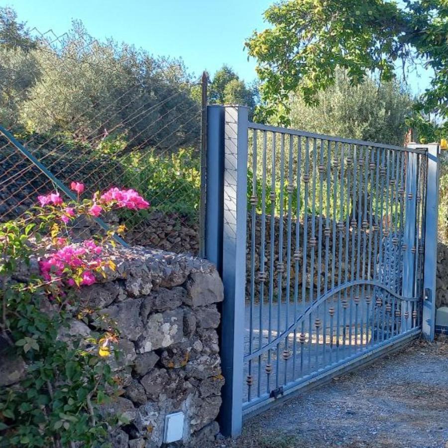 Holiday home La Casa Di Bacco - Etna - Affitto Breve
