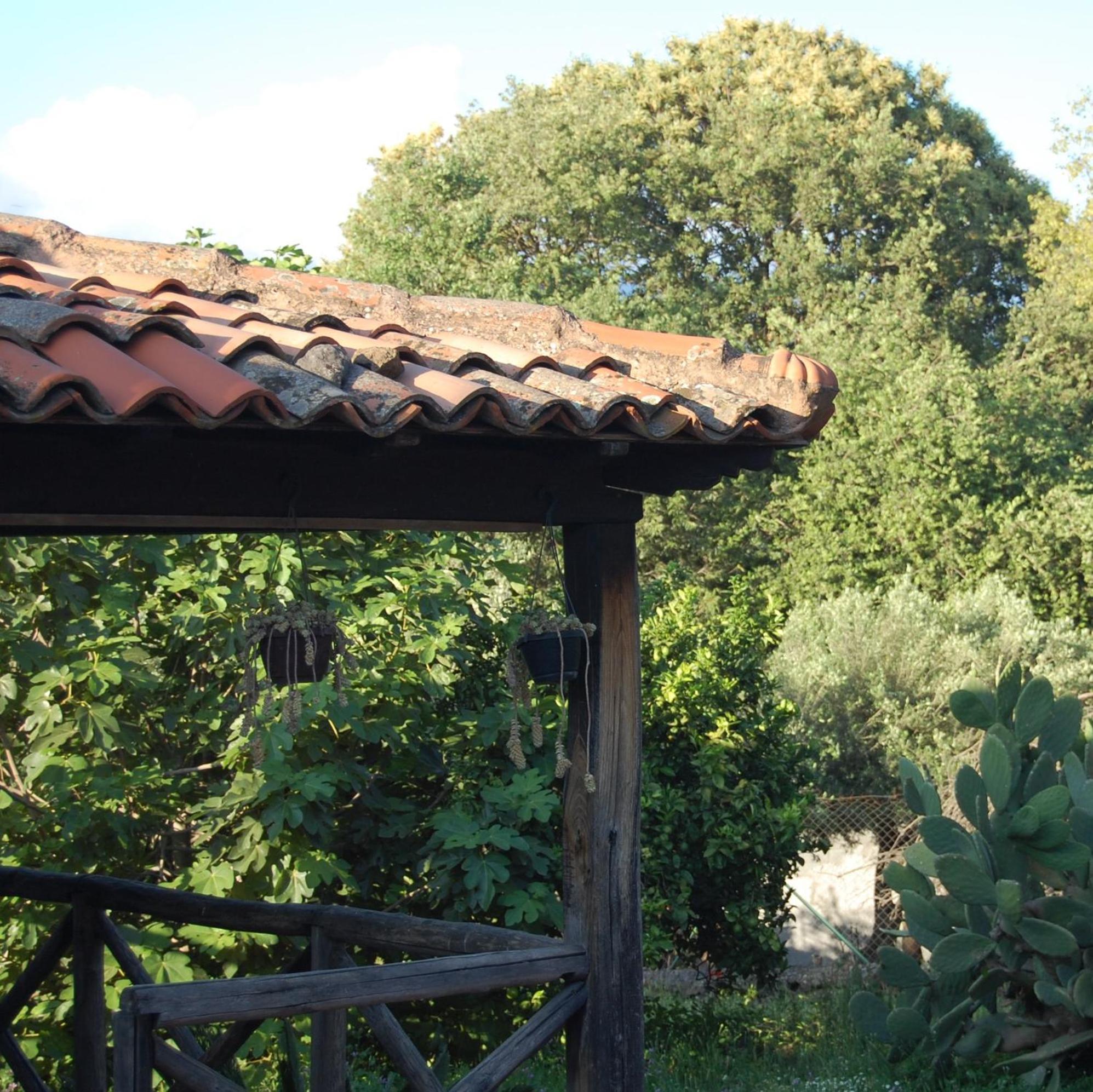 La Casa Di Bacco - Etna - Affitto Breve *