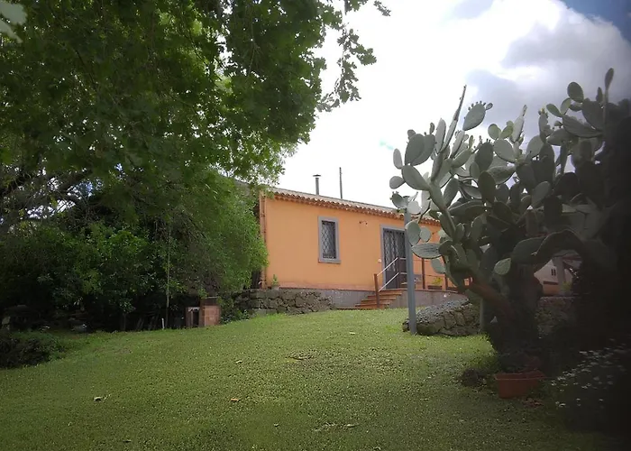 La Casa Di Bacco - Etna Country House - Affitto Breve