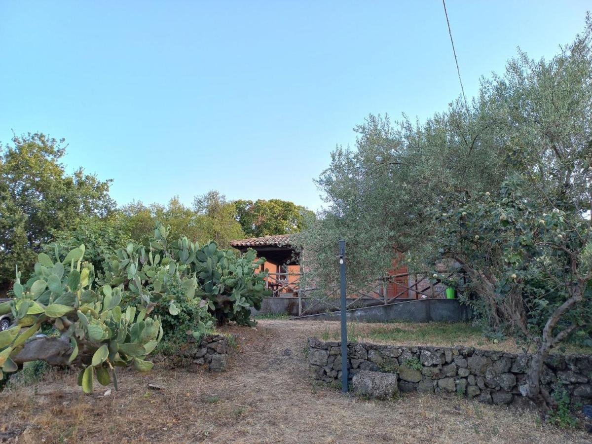 La Casa Di Bacco - Etna - Affitto Breve