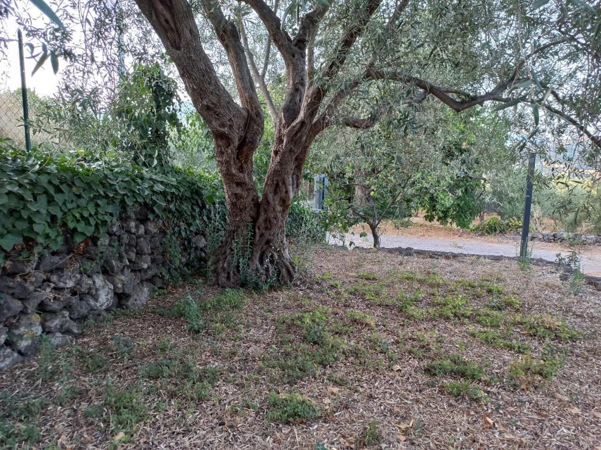 La Casa Di Bacco - Etna - Affitto Breve Casa vacanze Castiglione De Sicilia