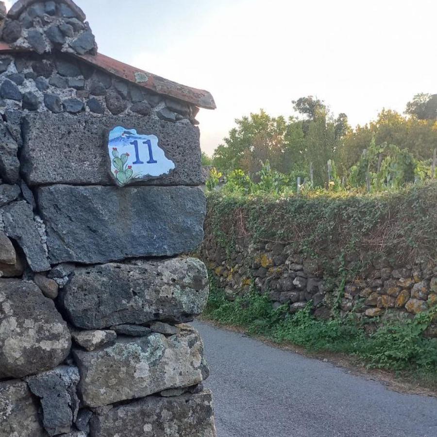 La Casa Di Bacco - Etna - Affitto Breve Casa vacanze