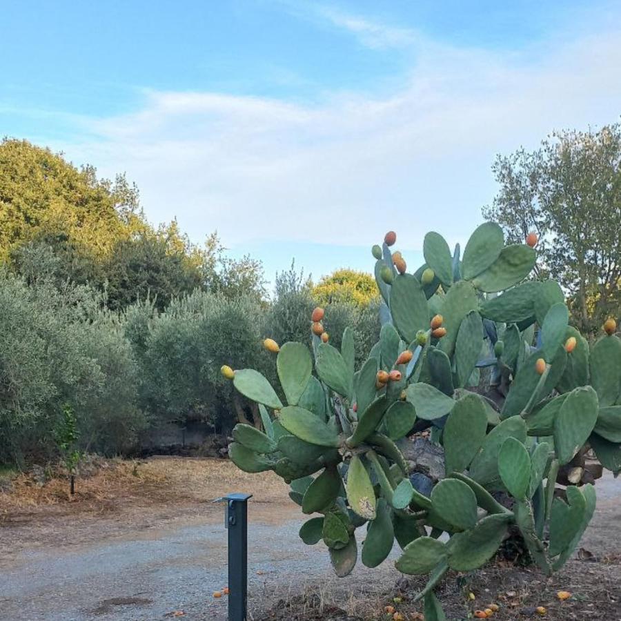 Casa vacanze La Casa Di Bacco - Etna - Affitto Breve *