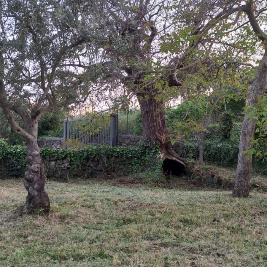 Casa vacanze La Casa Di Bacco - Etna - Affitto Breve Castiglione De Sicilia