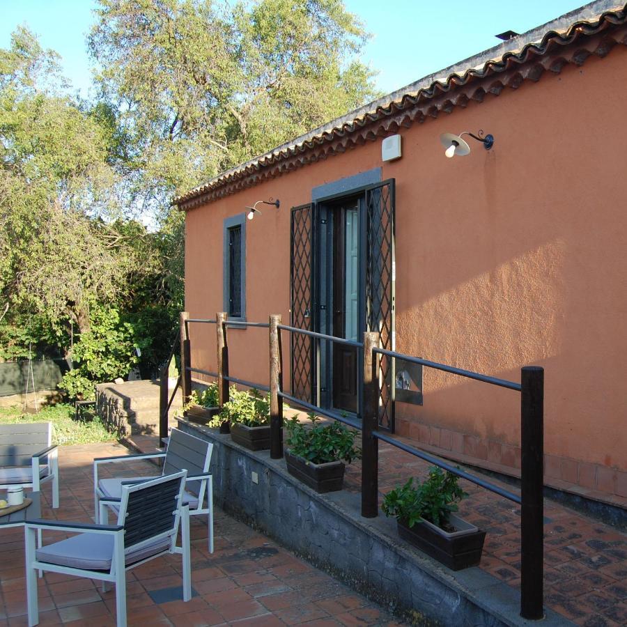 Casa vacanze La Casa Di Bacco - Etna - Affitto Breve